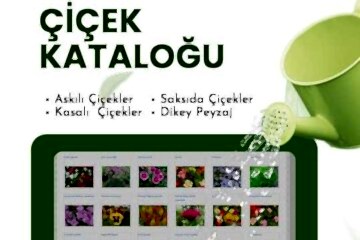 Çiçek Kataloğu